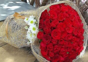 Başakşehir Nöbetçi çiçekçi