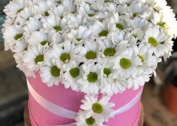 Başakşehir Nöbetçi çiçekçi