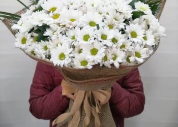 BAKIRKÖY NÖBETÇİ ÇİÇEKÇİ