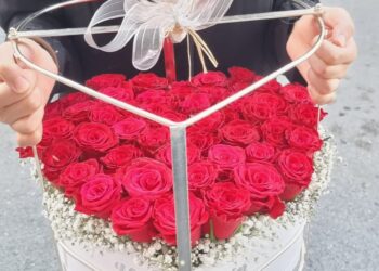 Avcılar 24 saat açık çiçekçi Bağcılar 24 saat açık çiçekçi bayrampaşa 24 saat açık çiçekçi Bahçelievler 24 saat açık çiçekçi Bakırköy 24 saat açık çiçekçi Başakşehir 24 saat açık çiçekçi Beşiktaş 24 saat açık çiçekçi Beylikdüzü 24 saat açık çiçekçi Beyoğlu 24 saat açık çiçekçi Büyükçekmece 24 saat açık çiçekçi Esenler 24 saat açık çiçekçi Esenyurt 24 saat açık çiçekçi Eyüp 24 saat açık çiçekçi Fatih 24 saat açık çiçekçi Gaziosmanpaşa 24 saat açık çiçekçi Güngören 24 saat açık çiçekçi Kağıthane 24 saat açık çiçekçi Küçükçekmece 24 saat açık çiçekçi Sarıyer 24 saat açık çiçekçi Silivri 24 saat açık çiçekçi Şişli 24 saat açık çiçekçi Sultangazi 24 saat açık çiçekçi