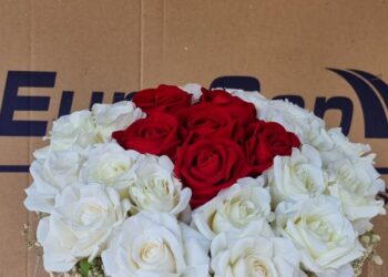 Bayram Paşa Gece Çiçekçi