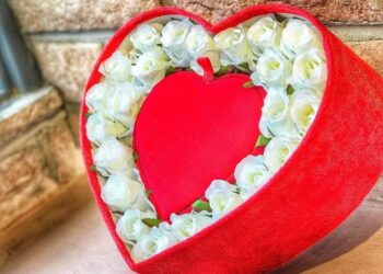 Beylükdüzü Çiçekçi