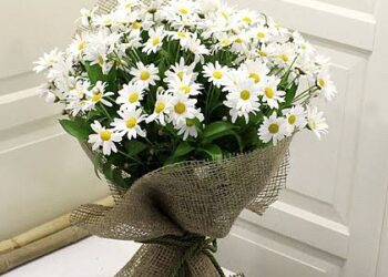 Küçükçekmece Nöbetçi çiçekçiler